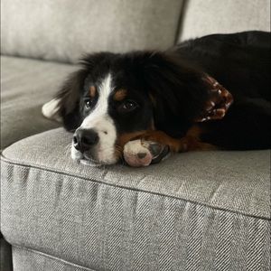 Meet your Posher, Scott